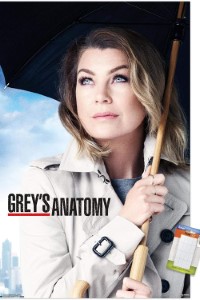Download Grey’s Anatomy (Season 1-19) [S19E11 Added] {English With Subtitles} 720p Bluray [280MB] || 1080p [1GB]