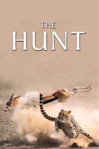 Download The Hunt (Season 1) {English With Subtitles} WeB-DL 720p [450MB]