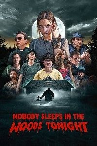 Download Nobody Sleeps in the Woods Tonight (2020) {Polish With Subtitles} 480p [450MB] || 720p [850MB] || 1080p [1.7GB]