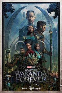 Download Black Panther: Wakanda Forever (2022) Dual Audio {Hindi-English} Bluray 480p [600MB] || 720p [1.4GB] || 1080p [3.3GB]