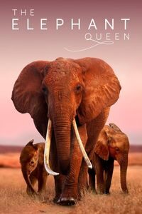 Download The Elephant Queen (2019) Dual Audio {Hindi-English} WEB-DL ESubs 480p [310MB] || 720p [860MB] || 1080p [2GB]